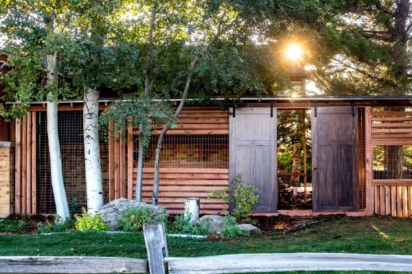 catio photo of outdoor cat enclosure