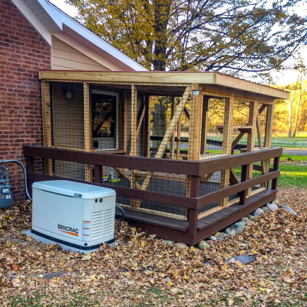 Cedar Wood: The Optimal Lumber Choice for a Catio - Cat Topia