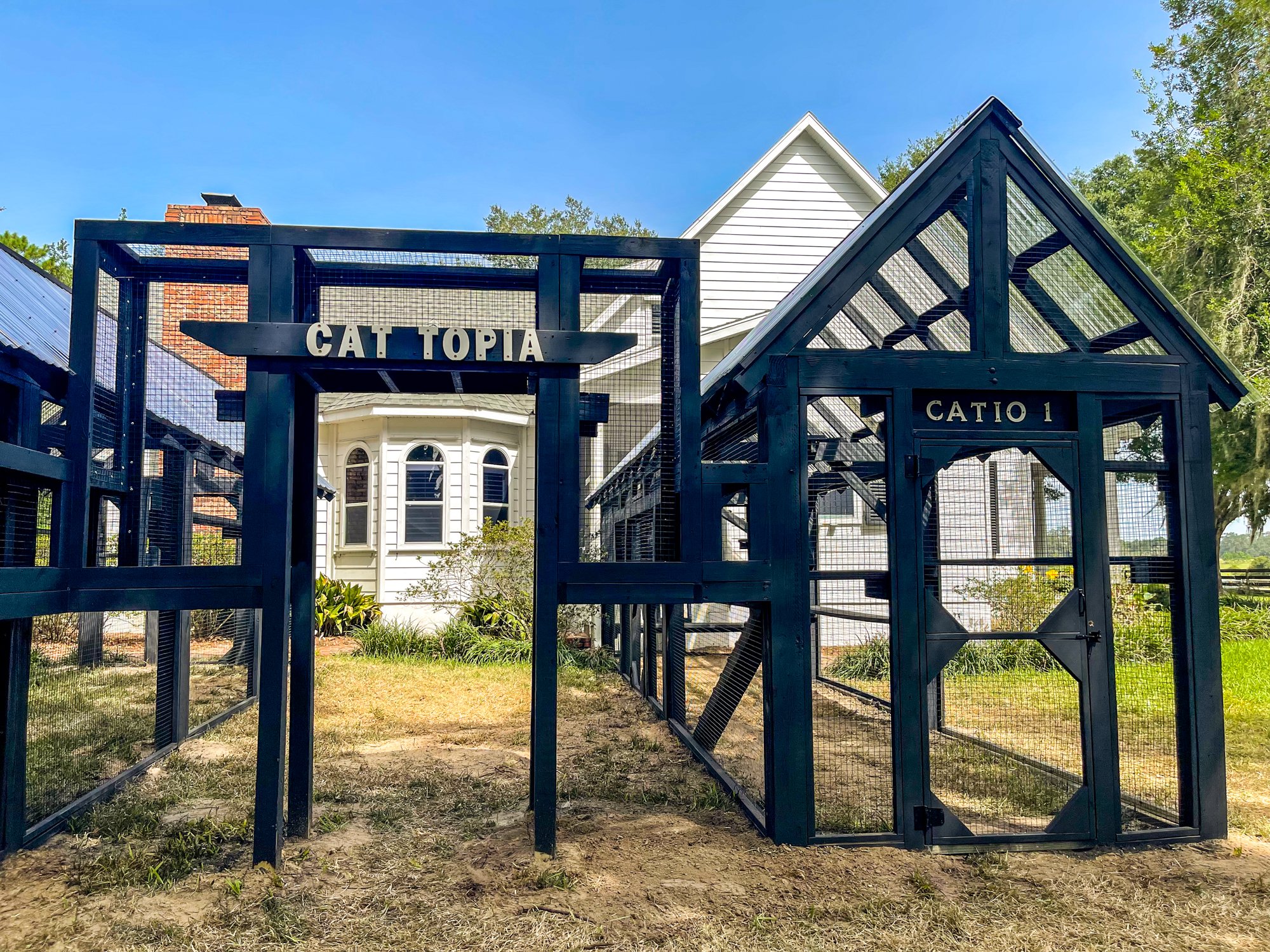 Large Painted Outdoor Cat Enclosure with Tunnel in Brooksville, Florida