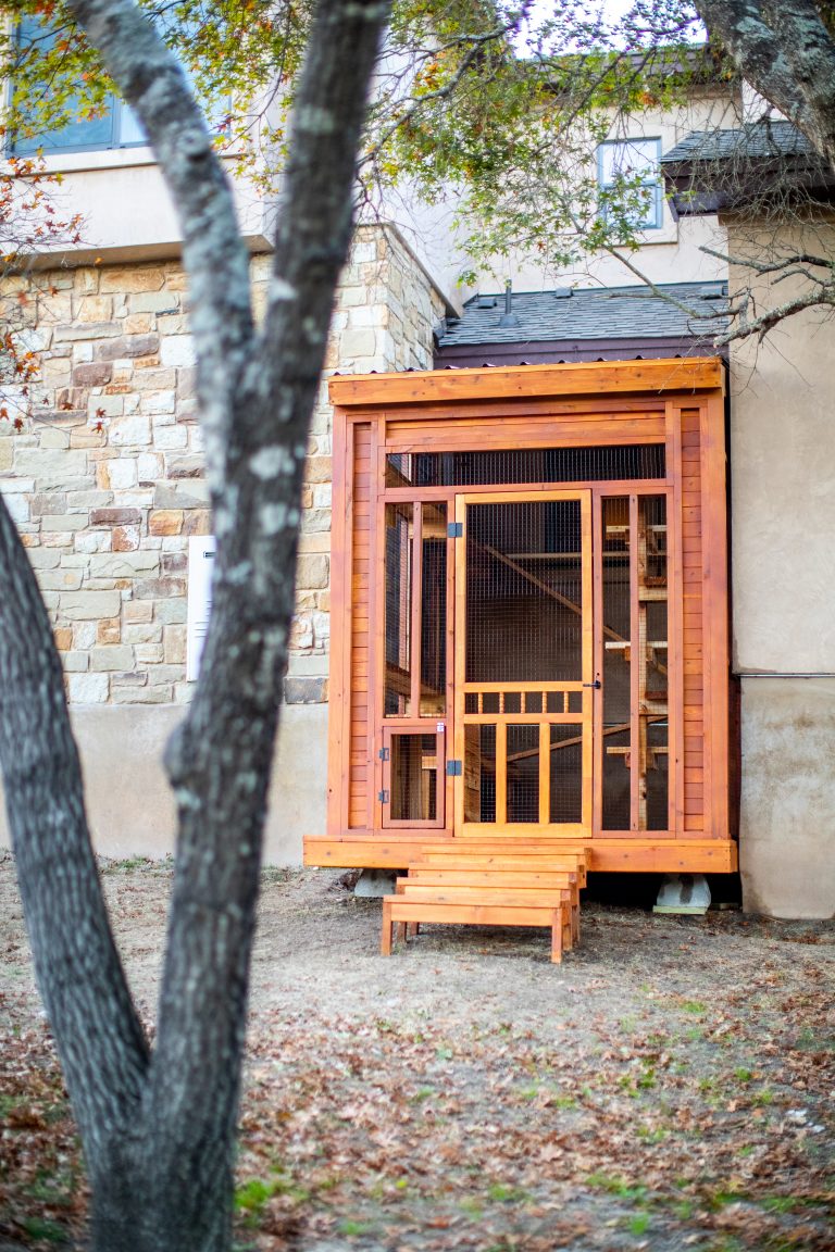 western red cedar stained catio