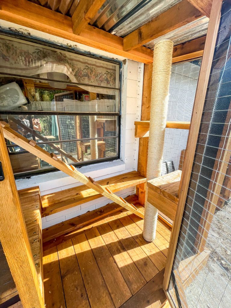 A cedar catio with plenty of shelves and a scratch post, providing a safe outdoor space for cats to enjoy