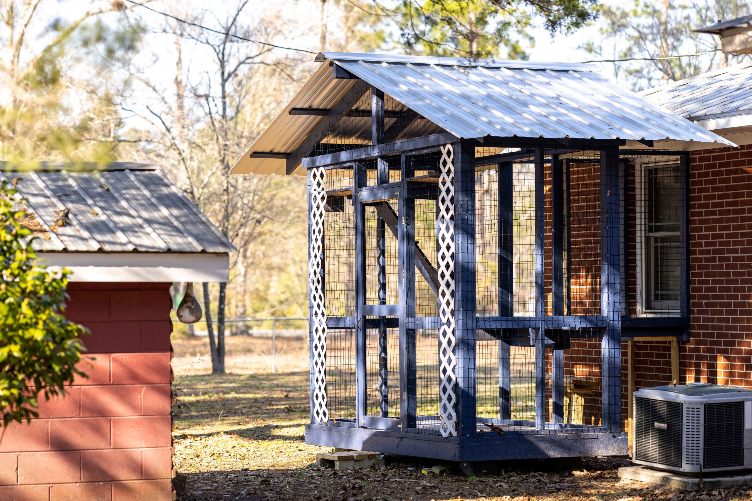 Bobbie J's Journey in Her Outdoor Cat Tree House