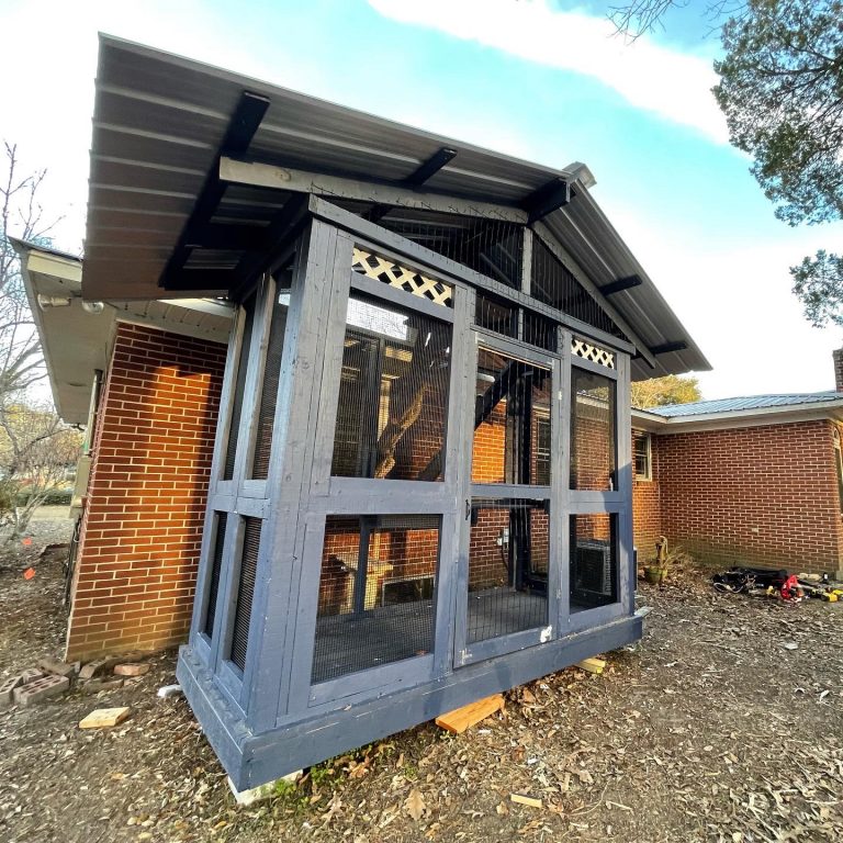 large catio in georgia