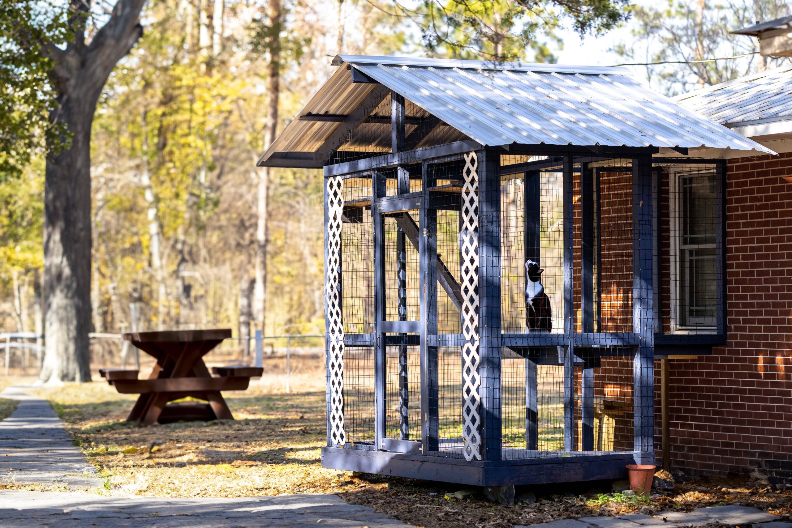 Hinesville Georgia Catio Build