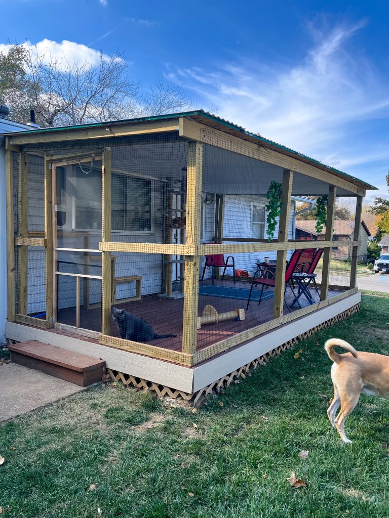 Unqualified Contractor Catio Build