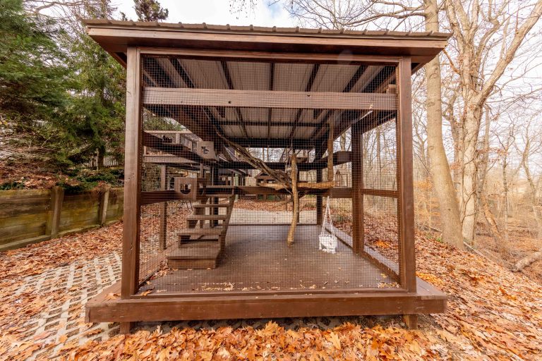 large brown 10x10 catio with metal roof and cat tree