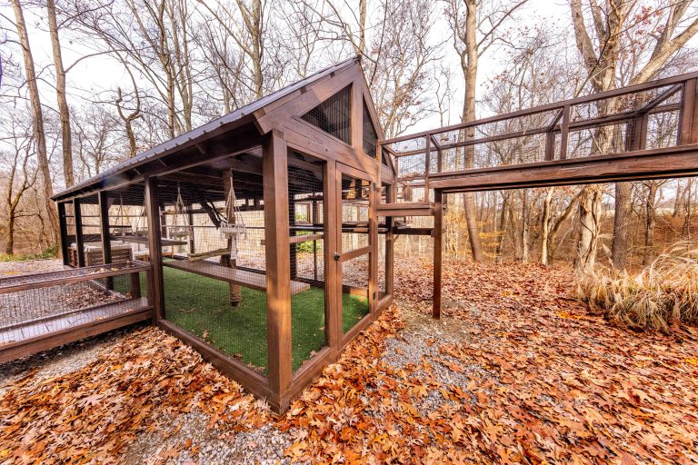 large brown catio with 500 sqft of space