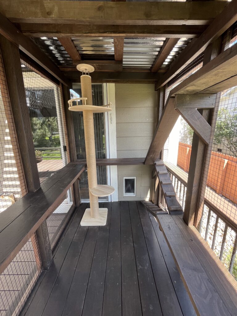 outdoor-catio-in-Thornton-Colorado-with-PVC-coated-stainless-steel-critter-fencing-featuring-a-wooden-cat-tree-multiple-shelves-a-ramp-and-a-small-cat-door-providing-safe-access-to-the-outdoors