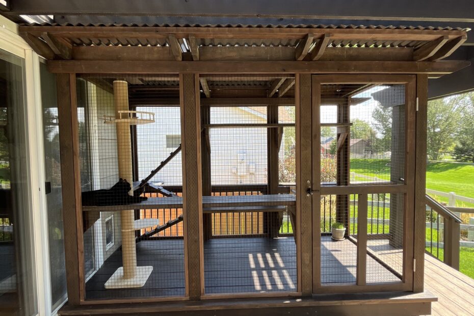 outdoor-catio-with-wooden-frame-and-pvc-coated-stainless-steel-critter-fencing-under-a-pergola-on-a-deck-in-Thornton-Colorado-complete-with-a-cat-tree-and-ramps-for-cats-to-play-and-relax-in-safety