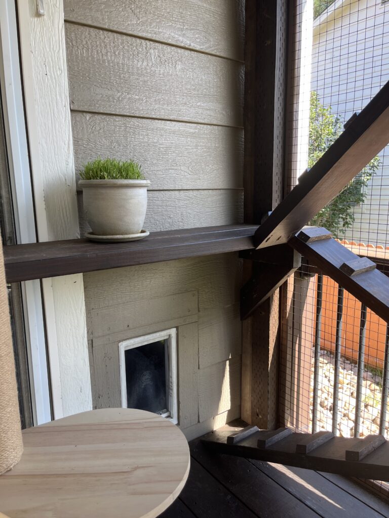 outdoor-catio-in-Thornton-Colorado-featuring-a-small-cat-door-leading-into-the-house-a-wooden-shelf-with-a-potted-plant-and-a-ramp-with-PVC-coated-stainless-steel-critter-fencing-for-safe-outdoor-access