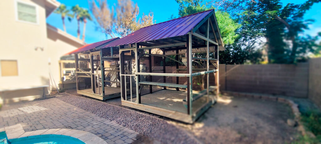 Wide view of two custom outdoor catios in Yuma, Arizona, connected by a tunnel system. The catios feature red metal roofs, human-sized doors, staggered shelves, ramps, and a durable pressure-treated lumber frame, designed to provide a safe and stylish outdoor space for cats in Arizona’s desert climate