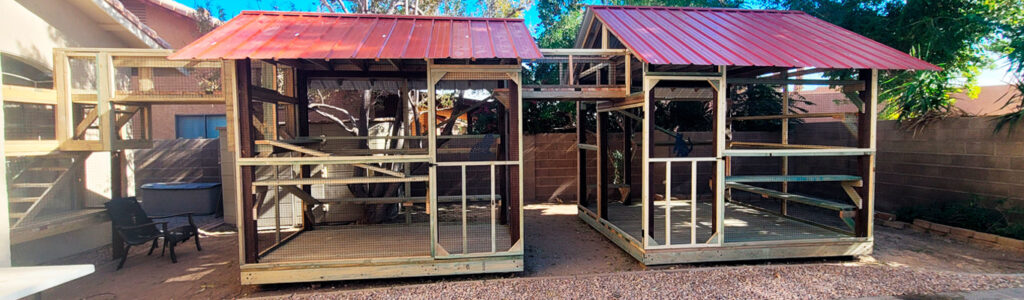 two large custom built outdoor catios in Yuma Arizona connected by a tunnel system. Each catio features a red flat-panel metal roof, human-sized doors, staggered shelves, ramps, and a pressure-treated lumber structure designed for durability in Arizona's desert climate