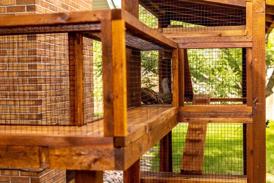 Close-up view of a wooden catio structure with wire mesh panels, featuring multiple levels and a ladder, set outdoors against a brick wall and a lush green background.