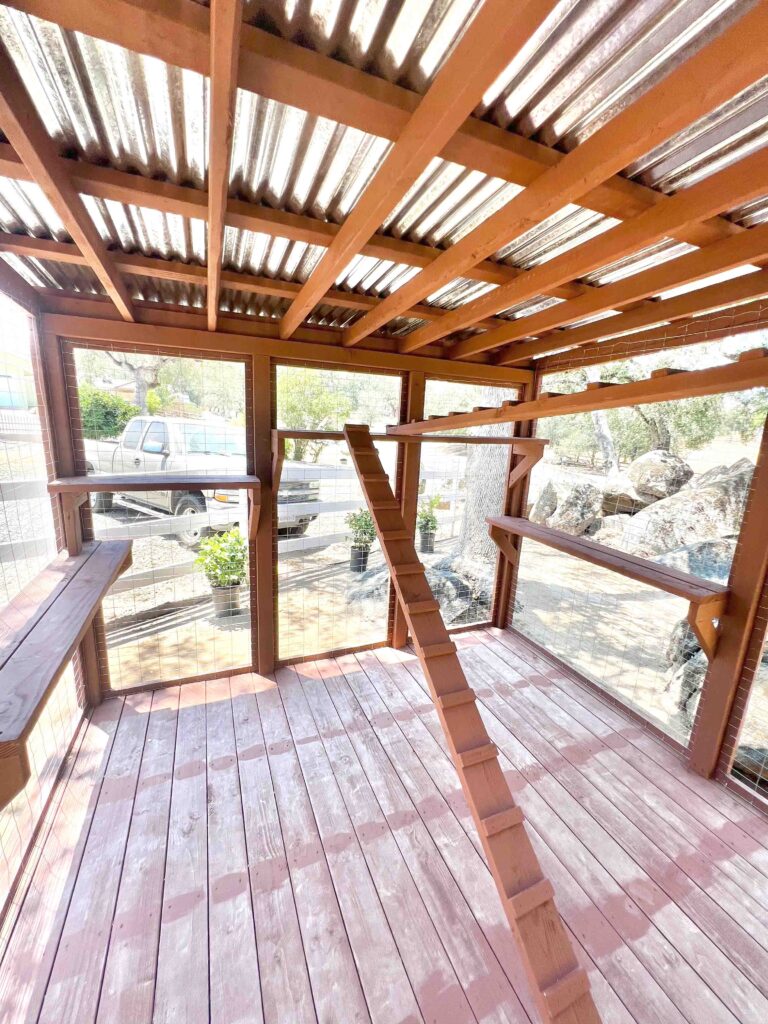 Interior view of a catio in Springville, California, featuring wooden platforms, ramps, and a corrugated metal roof.