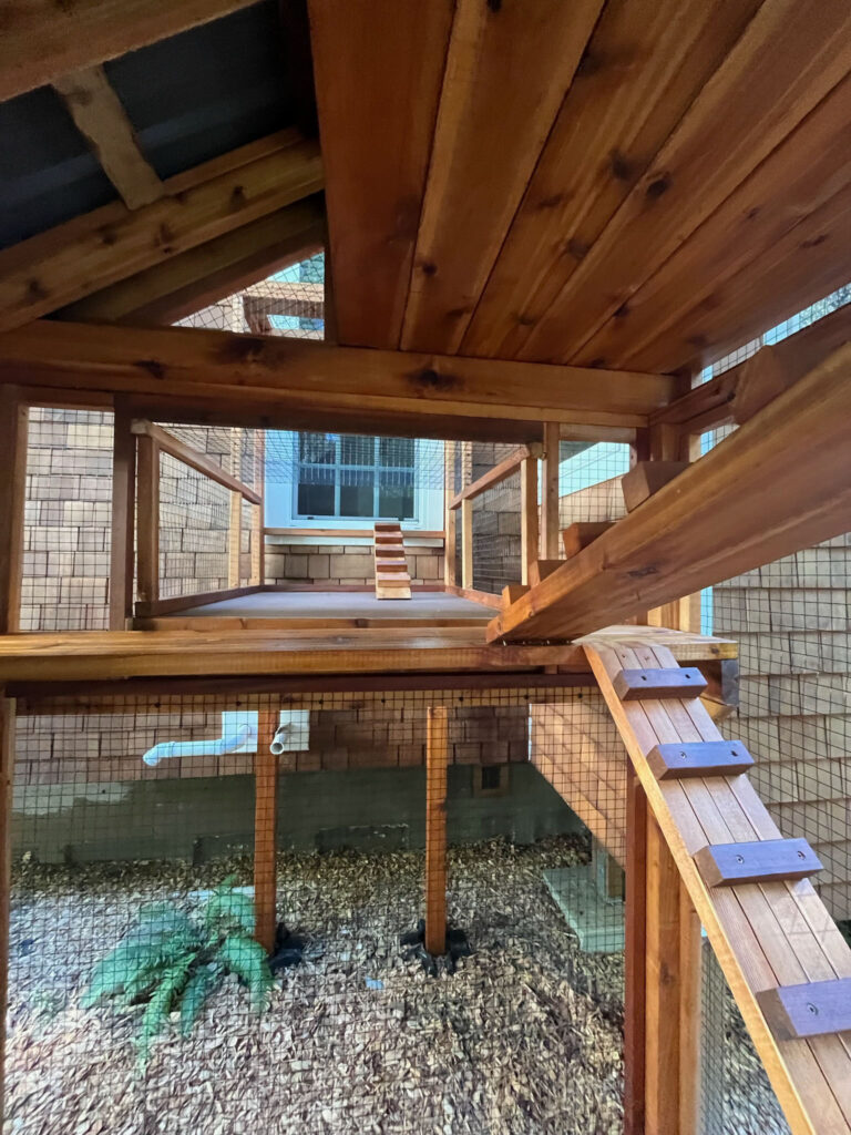 Interior view of a custom-built wooden catio in Vashon, Washington, featuring multiple levels, ramps, and an enclosed walkway leading to a house window.