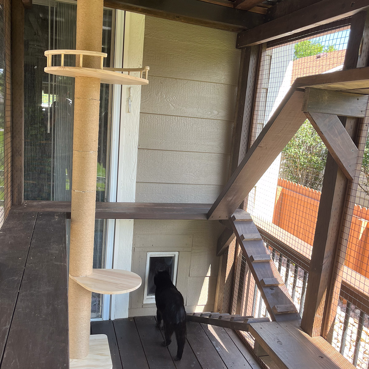 Building Dean's Dungeon catio