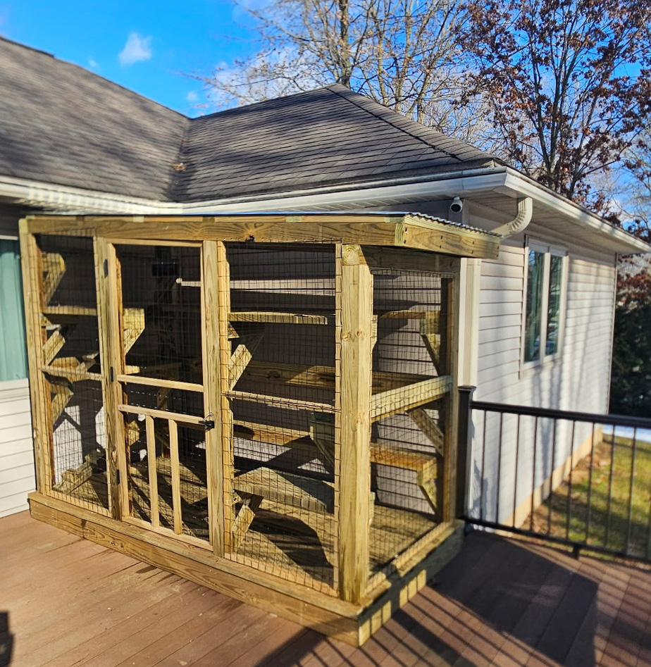 Spacious and Stylish Catio Build in Indiana