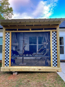 cattery extension with cats inside